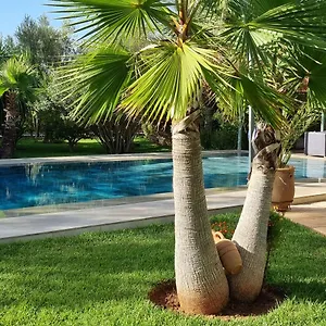 Affittacamere Les Deux Citronniers, Marrakesh